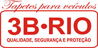 3B RIO